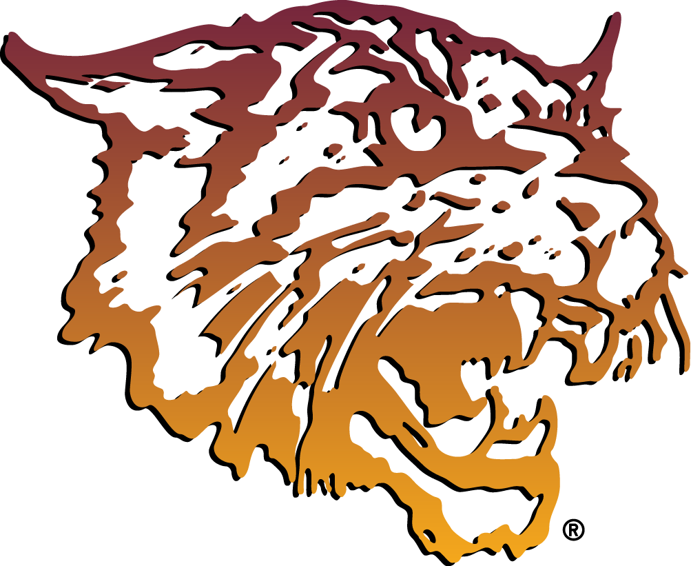 Bethune-Cookman Wildcats 2000-2015 Primary Logo iron on transfers for T-shirts